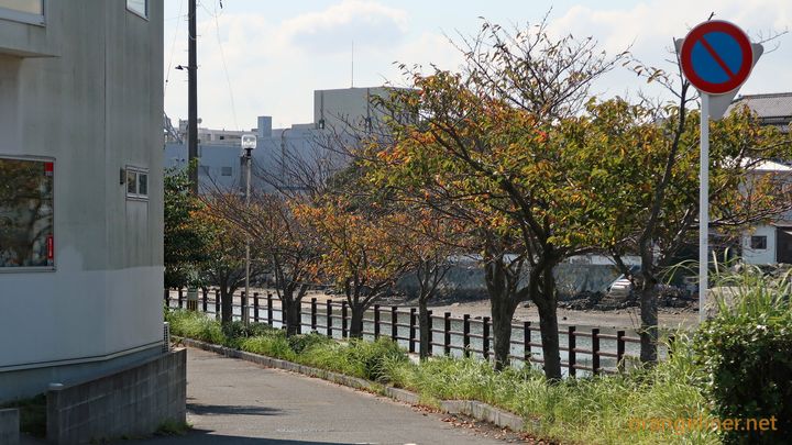 千代田橋 6